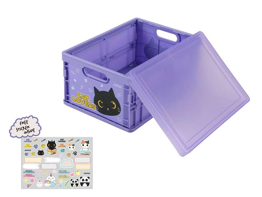 Cajas plegables surtidas Black Cat