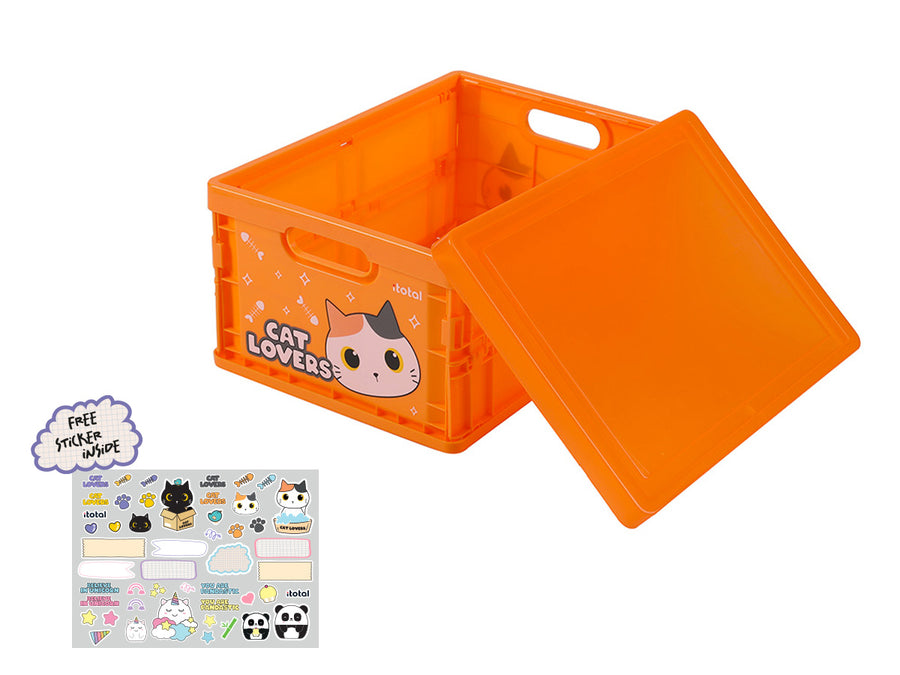 Cajas plegables surtidas Orange Cat