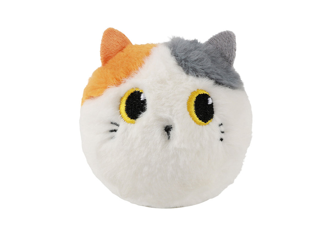 Pelota que rebota - Orange Cat