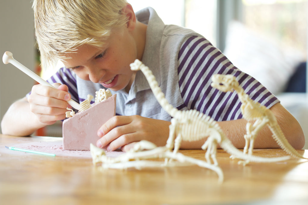 Kidz Labs Kit Geológico de un Triceratops