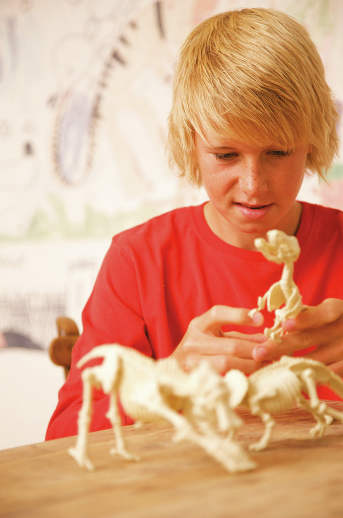 Kidz Labs Kit Geológico de un Triceratops