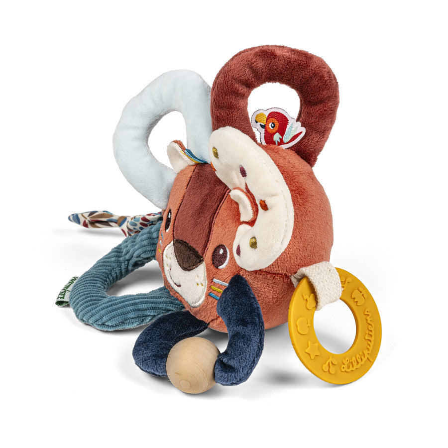 Jack, anillos sensoriales