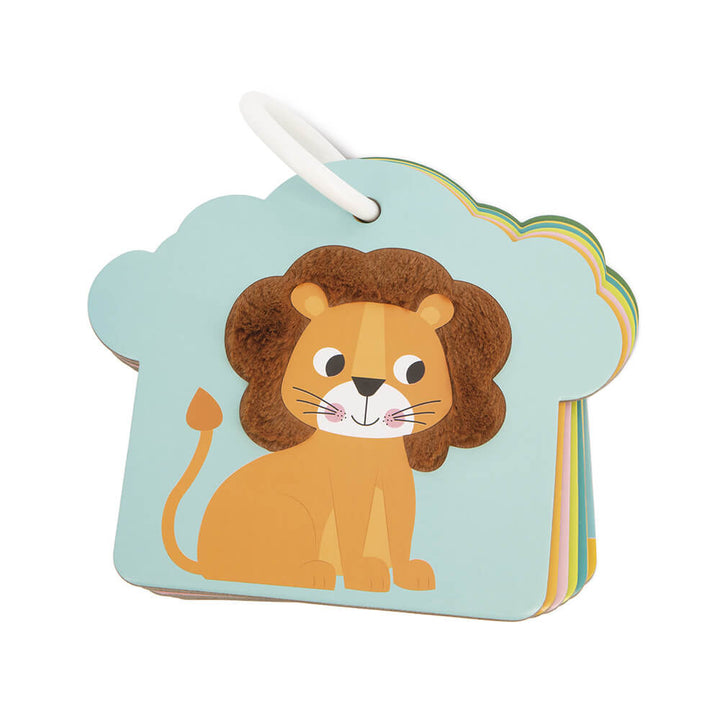 Cartas Tactiles La Sabana