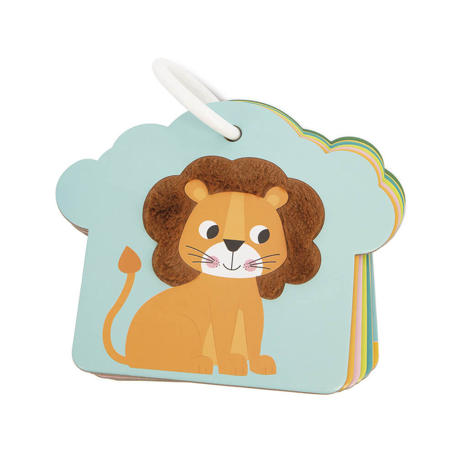 Cartas Tactiles La Sabana