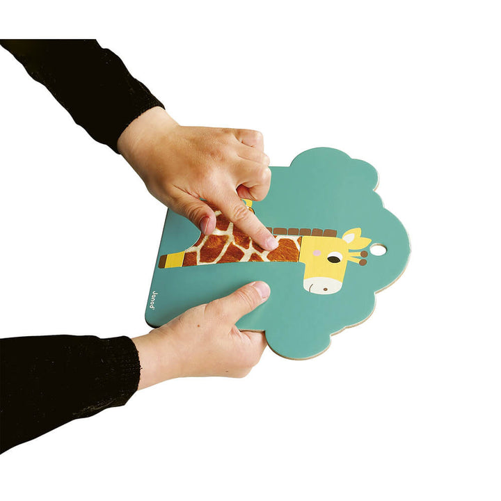 Cartas Tactiles La Sabana