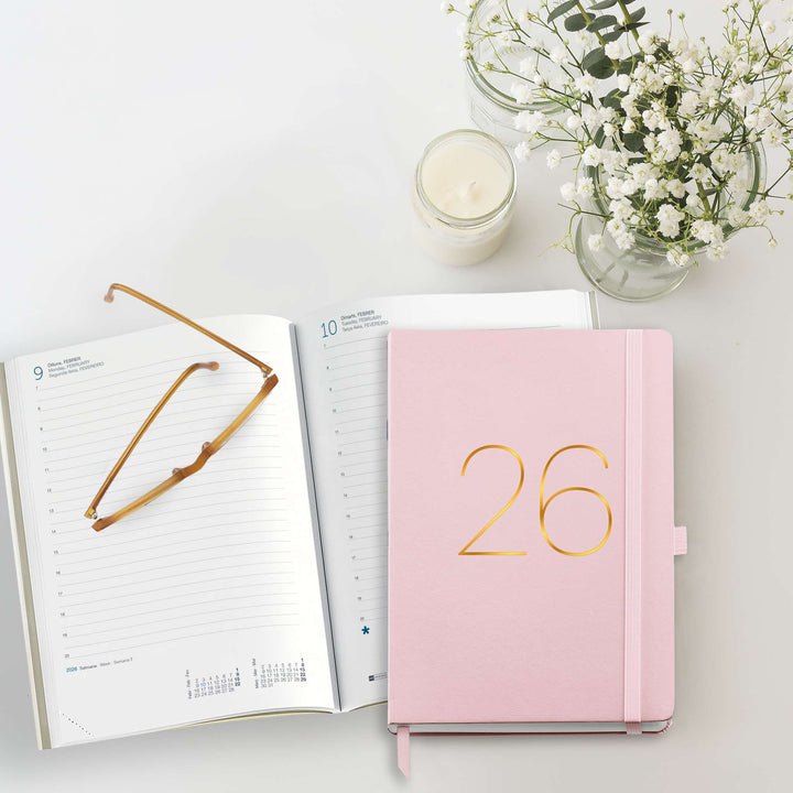 Agenda plus D/P-cat chester rig rosa 26