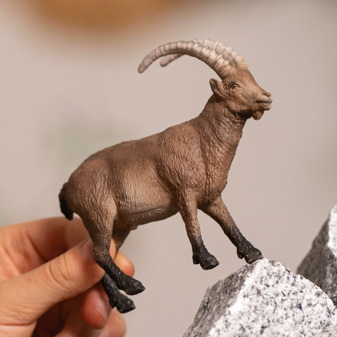 Cabra montesa