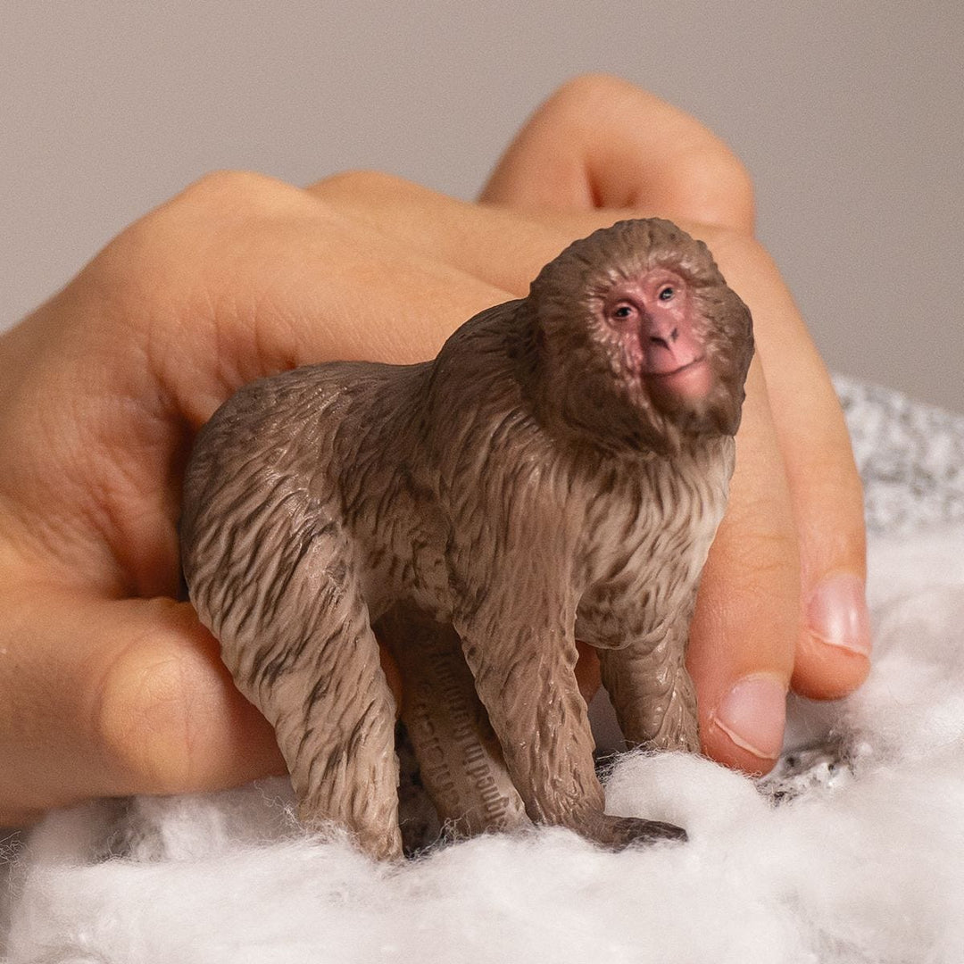 Macaco japonés