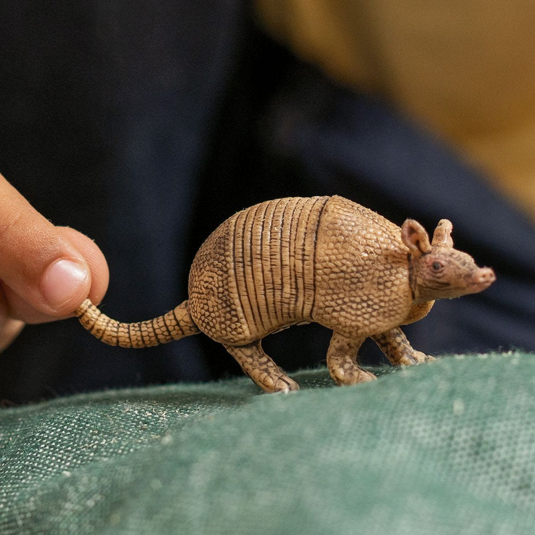 Armadillo