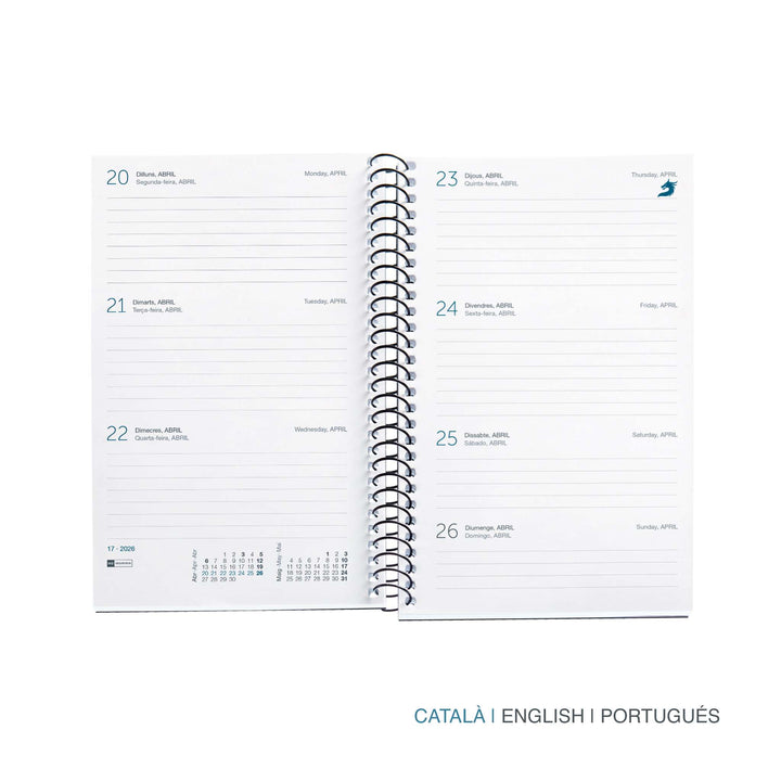 Agenda activa S/V-cat calm arena 26