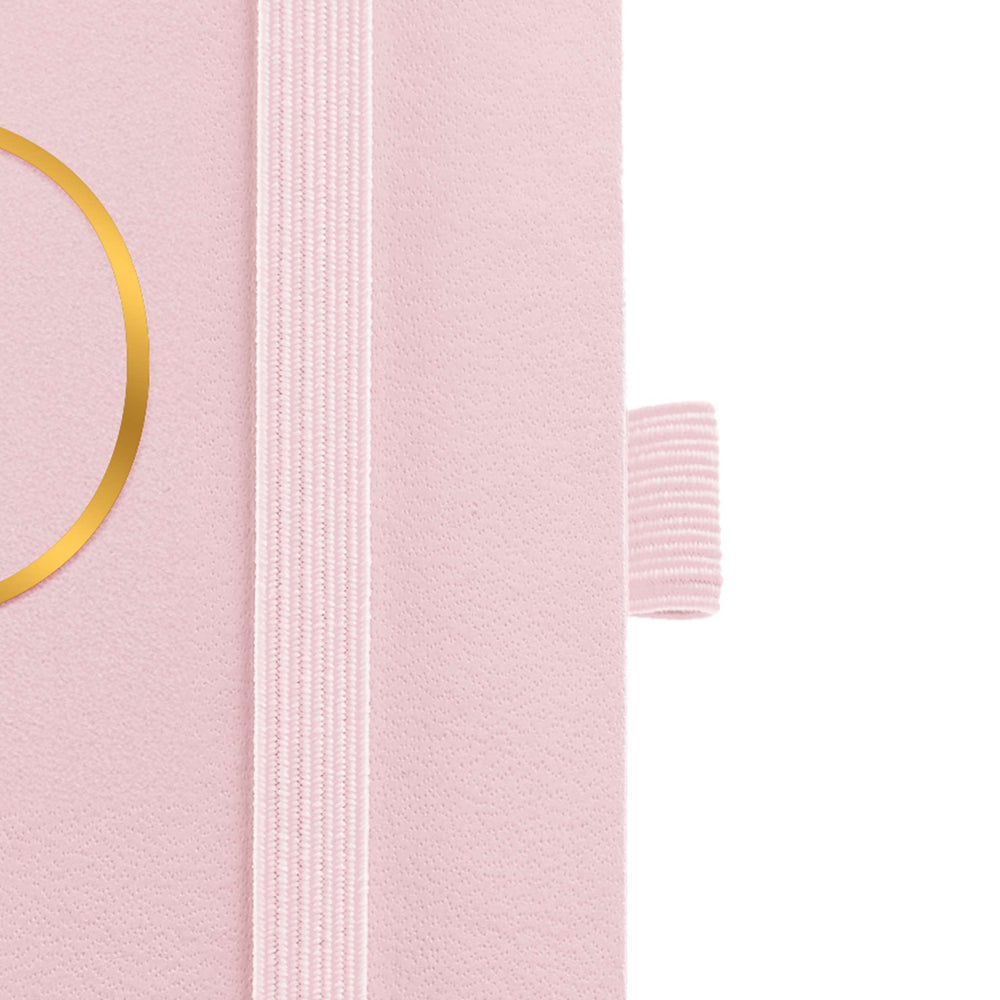 Agenda plus D/P-cat chester rig rosa 26