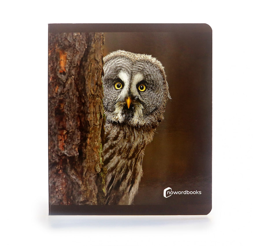 Los Animales del Bosque. Gran Formato