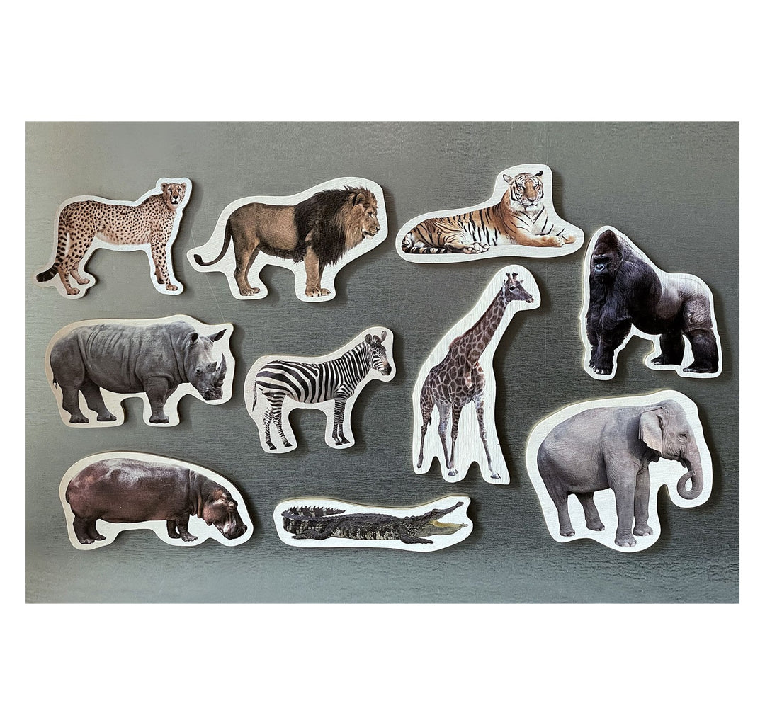 Piezas magnéticas de bambú de animales salvajes