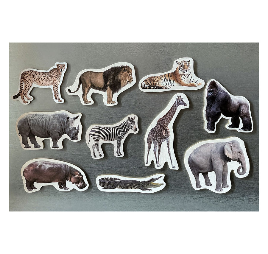 Piezas magnéticas de bambú de animales salvajes