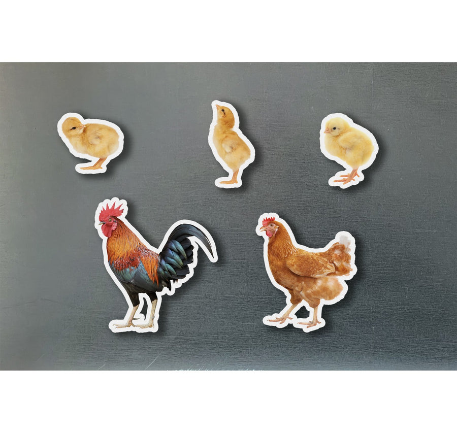 Piezas magnéticas de bambú Família de Gallinas