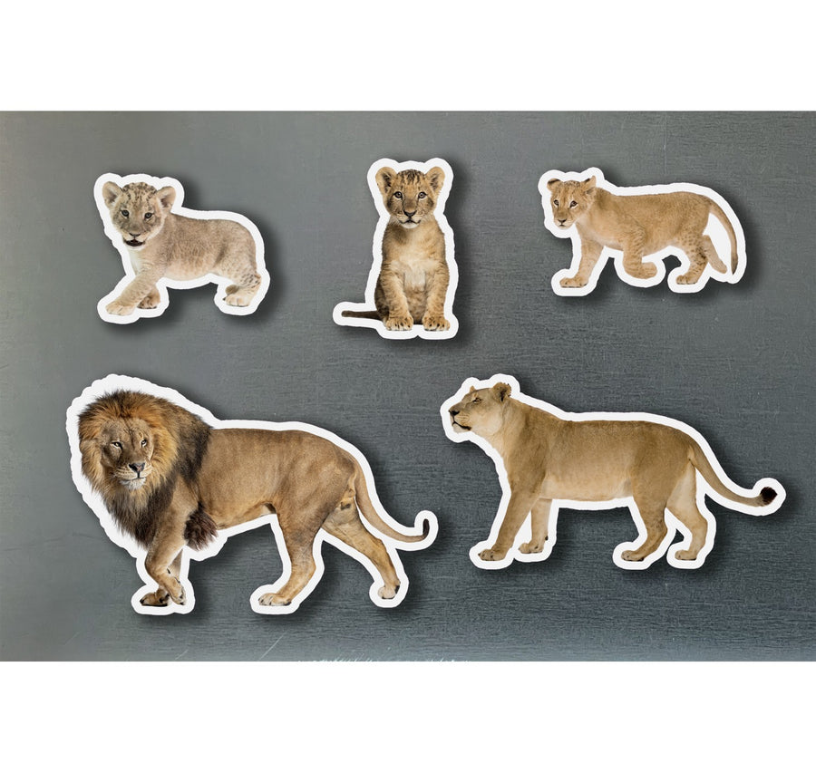 Piezas magnéticas de bambú Família de Leones