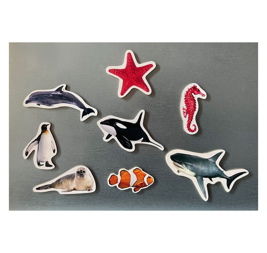 Piezas magnéticas de bambú de animales marinos