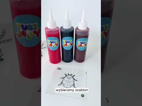 Conjunto Jelly - Bichos 3D