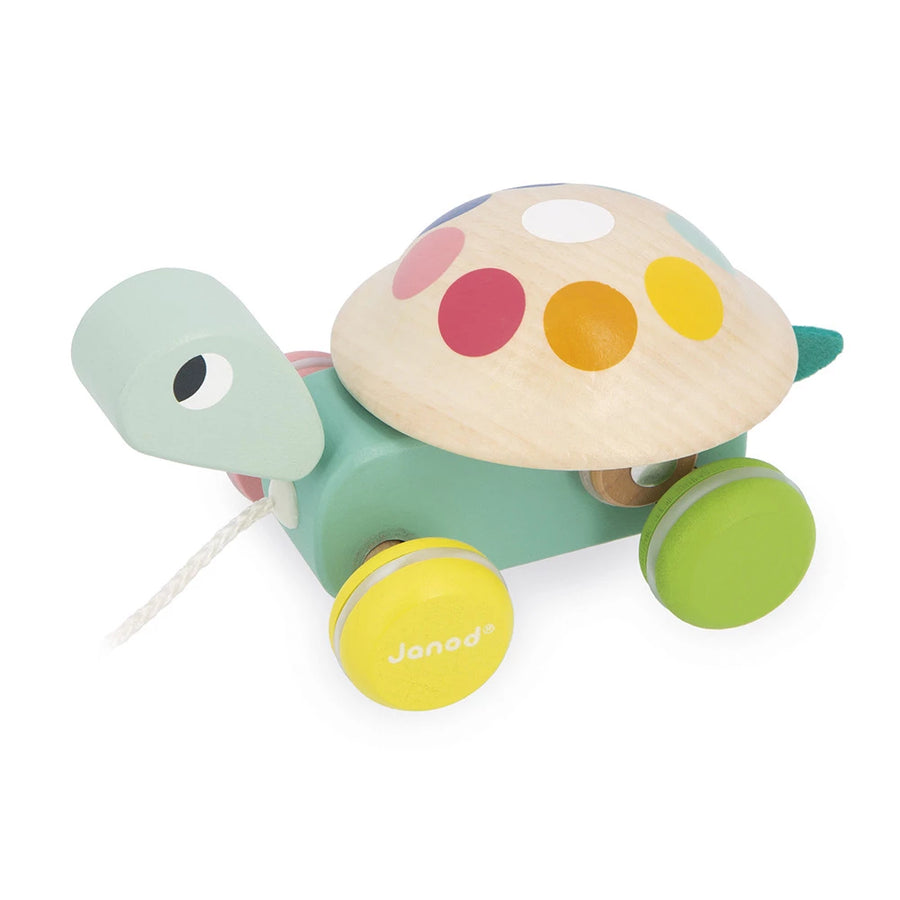 Tortuga para pasear Zigolos