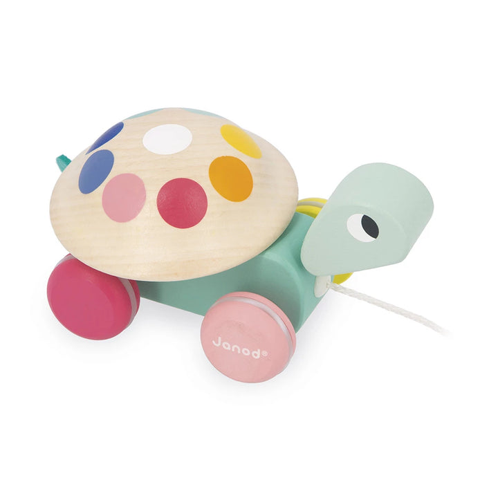 Tortuga para pasear Zigolos